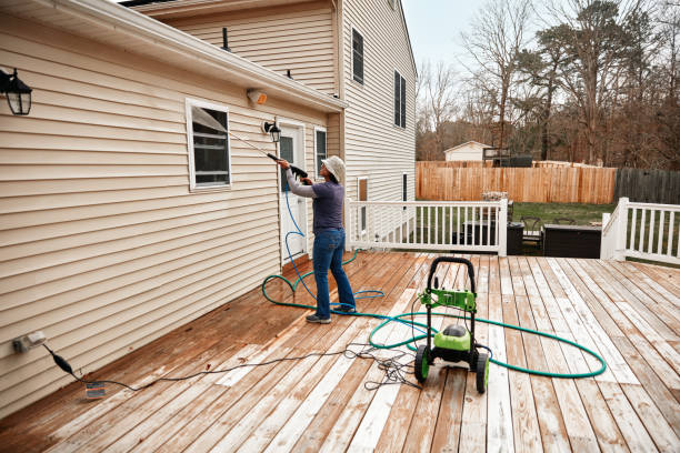 Best Local Pressure Washing Services  in South Pasadena, FL