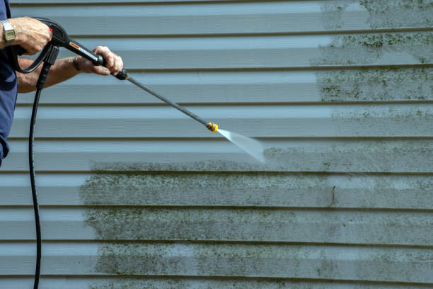Best Deck Cleaning Services  in South Pasadena, FL