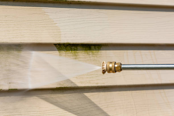 Best Residential Pressure Washing Services  in South Pasadena, FL